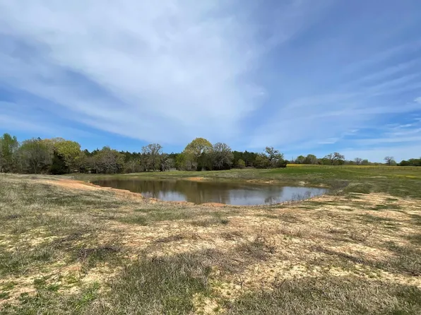 19 Belles Ln, Brownsboro, TX 75756