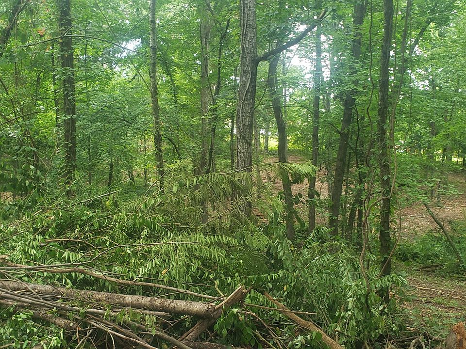 2nd image of 8416 Rocky Brook Ln
