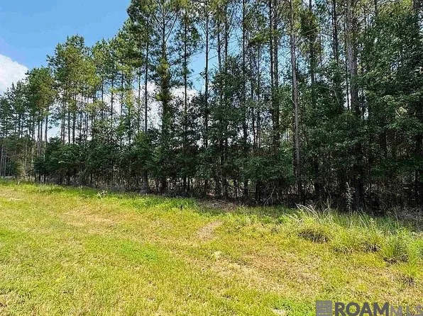 4 Highway 449, Pine Grove, LA 70453