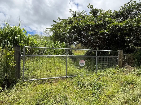 11-2972 Palainui Ave Lot 37, Mountain View, HI 96771