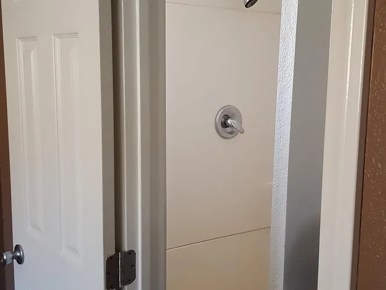 Master Bathroom Shower