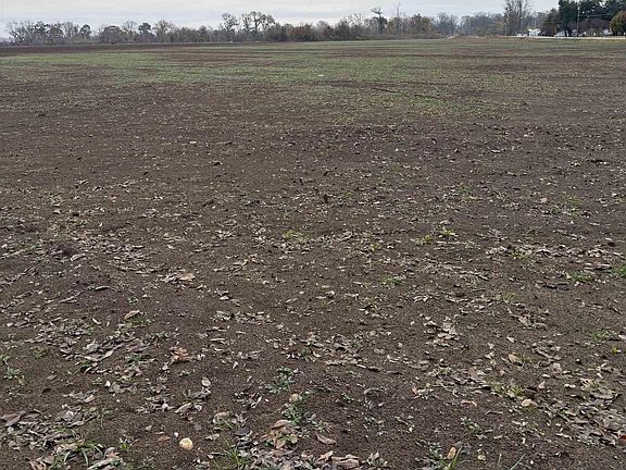 4th image of (Undisclosed Address)