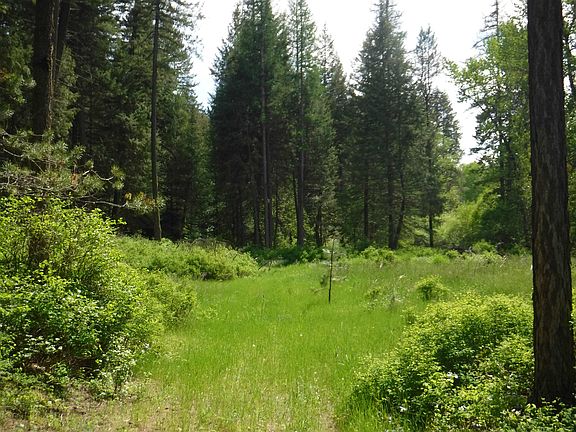 5th image of Xx Woolard Rd