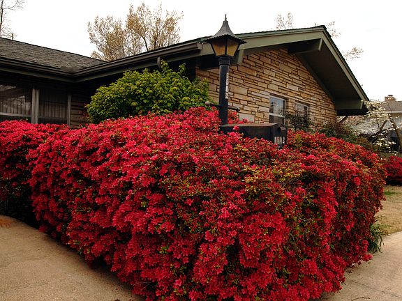 Closer-up view  front entry