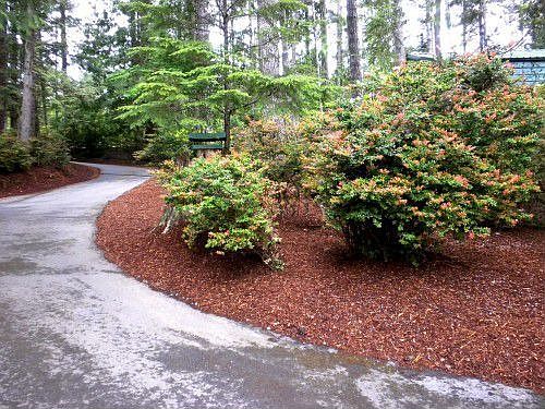 5th image of 270 NE Panther Lake Dr