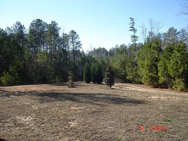 825 Allen Rd — Photo 6