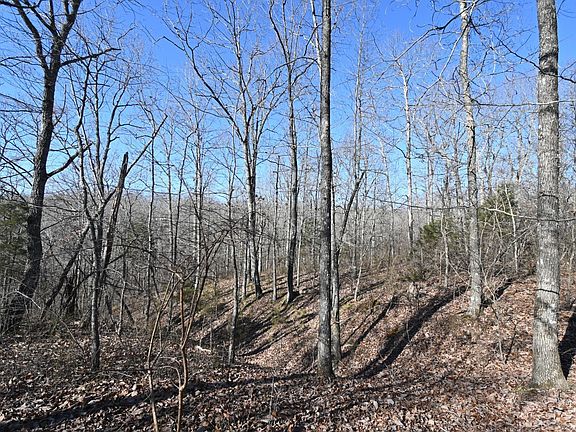 3rd image of 130 Wyatt Ln Lot 11