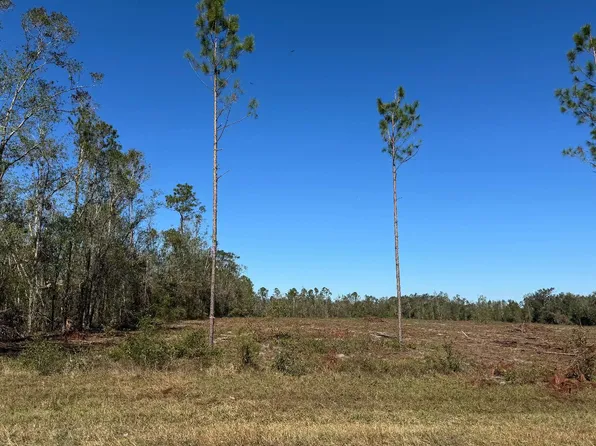 County Road 132, Live Oak, FL 32060