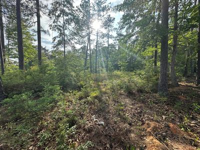220 Lakeland Dr, Hattiesburg, MS, 39402