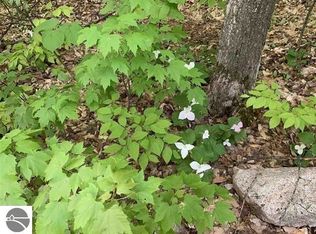 W Falmouth Rd, McBain, MI 49657