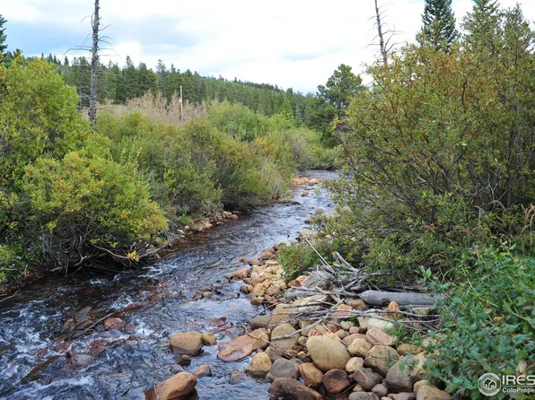 85 Gold Pan Ln, Fairplay, CO 80440