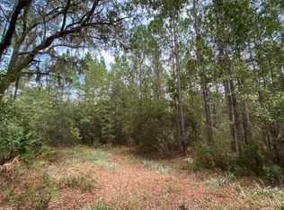 SW Hike Lake Rd, Madison, FL 32340