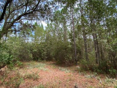SW Hike Lake Rd, Madison, FL, 32340