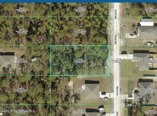 16411 Mellon Rd, Weeki Wachee, FL 34614