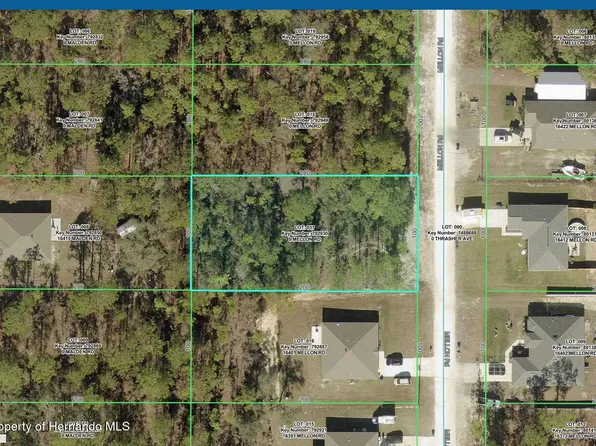 16411 Mellon Rd, Weeki Wachee, FL 34614