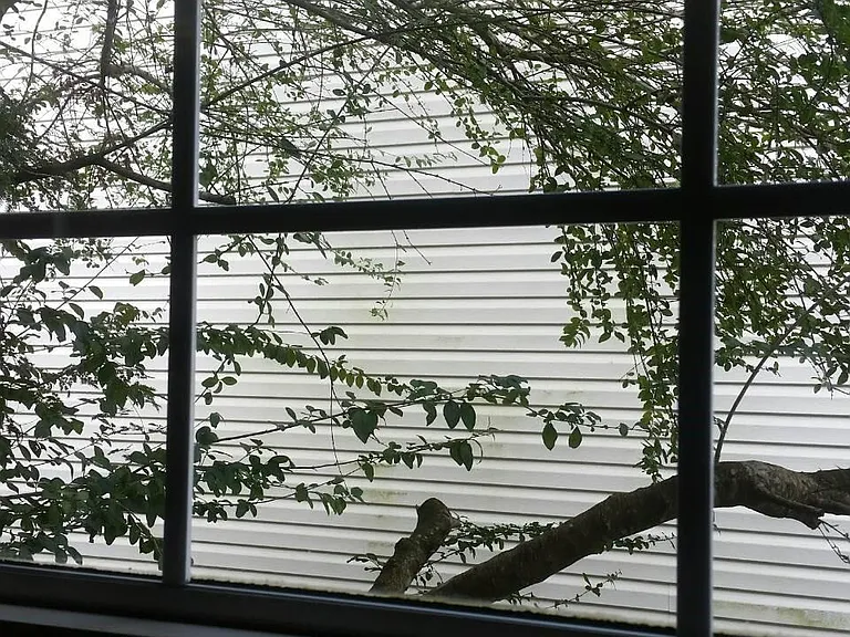 kitchen window