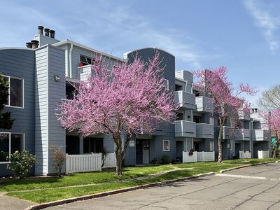 6044 SE Drake St APT 205, Hillsboro, OR, 97123