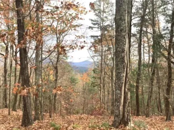 17 Abbott Ct, Ellijay, GA 30540