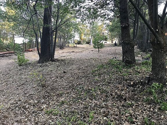 View of Middle of Lot