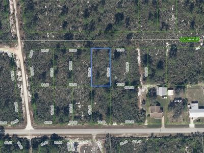 1507 Columbine St, Lake Placid, FL, 33852