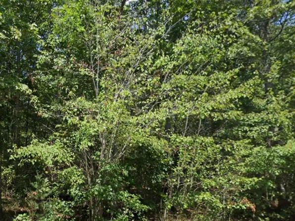 4010 Saponac Dr, Crossville, TN 38572