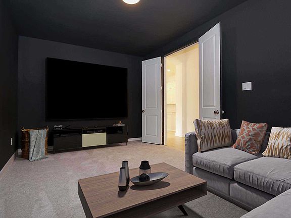 Entertainment Room