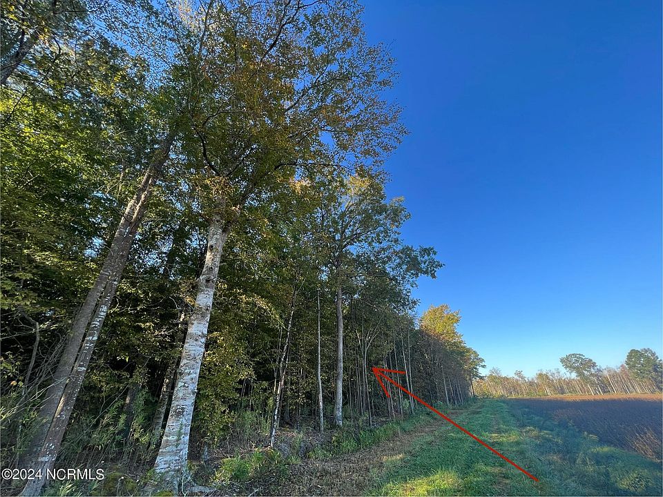 2nd image of 10ac W Gibbs Road