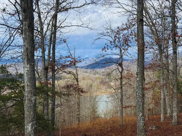 8 Drake Ridge Ln, Hayesville, NC 28904