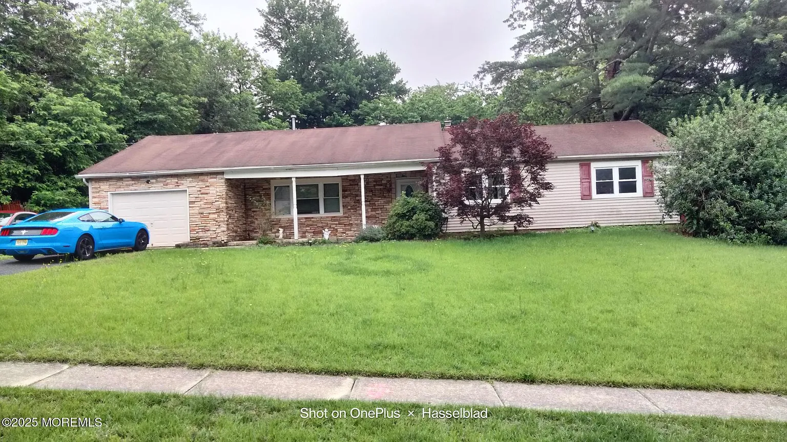 14 Albany Avenue photo 1