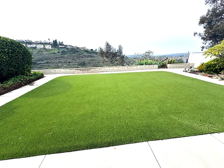 Spacious backyard with artificial turf and canyon view.