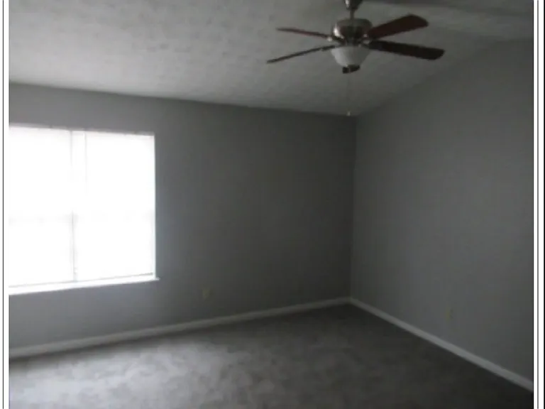 6688 Branchview Ct — Photo 7