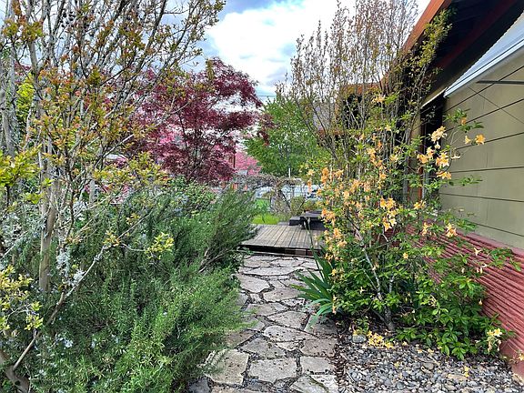 Front garden, walkway and deck