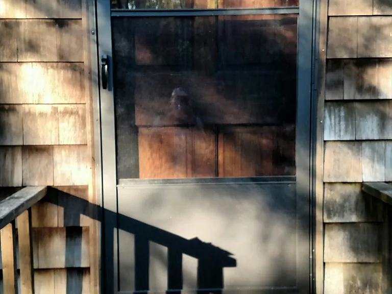 Erdoni Rd — Photo 6