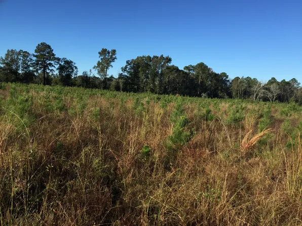 Wilbur Kennedy Rd, Collins, GA 30421