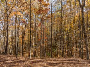 LOT-17R Tanager Trl, Ellijay, GA 30536