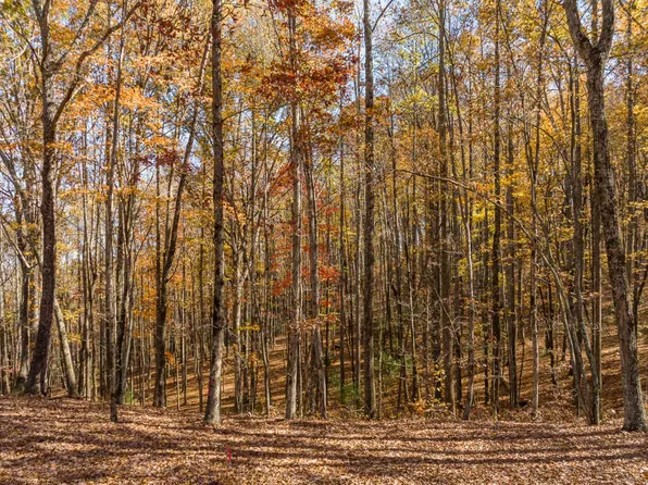 LOT-17R Tanager Trl, Ellijay, GA 30536