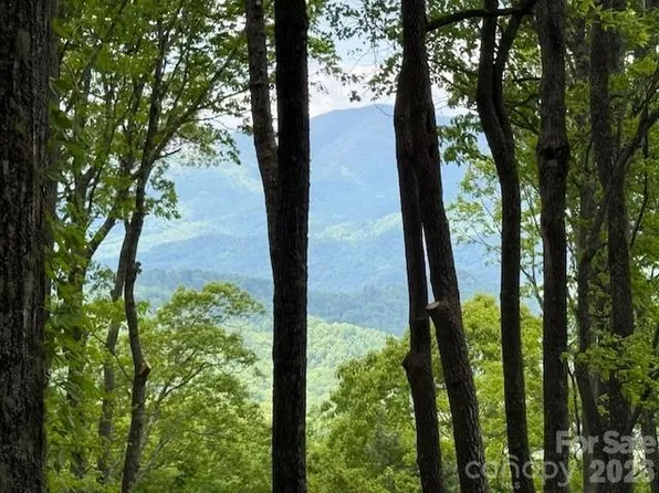 768 Boar Ridge Rd #121, Sylva, NC 28779