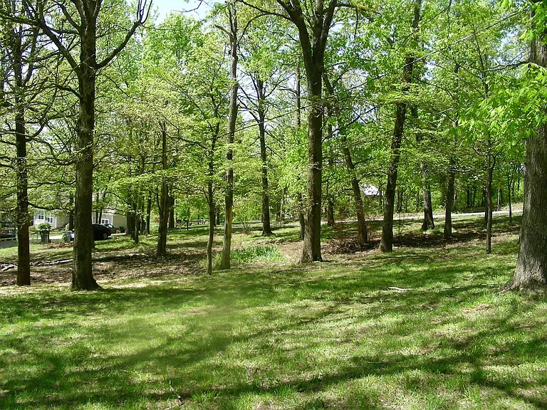 1205 N Charlotte St — Photo 5