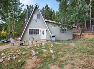 527 Apache Rd, Evergreen, CO 80439