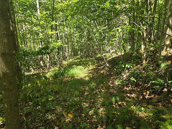 4th image of 0 Rocky Fork Rd