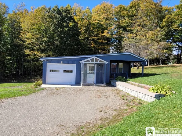 8771 Hahn Rd, Fredonia, NY 14063