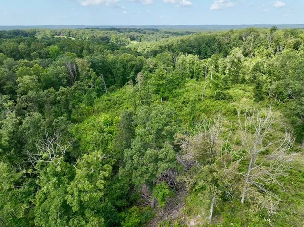 000 Songbird Road, Powell, MO 65730