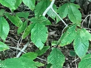 366 Blue Ridge Ave, Demorest, GA 30535