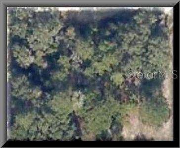 NE 141st Ct LOT 60-61, Fort Mc Coy, FL, 32134