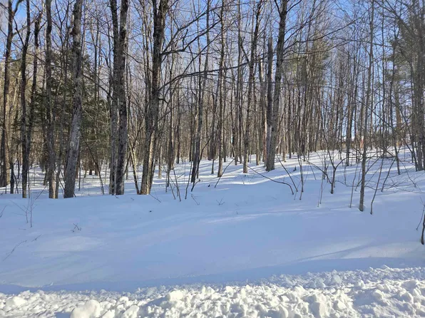 164 Lot 18-1 Mason Road, Milton, NH 03851