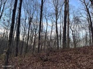 1915 Mattaha Dr, Hernando, MS 38632