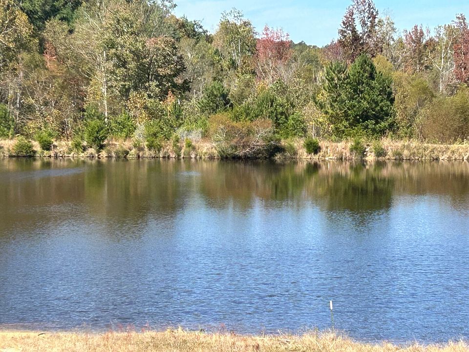 Bass Lake