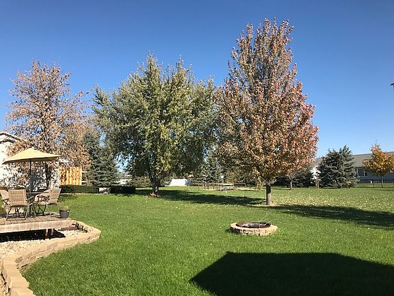 Backyard facing NE