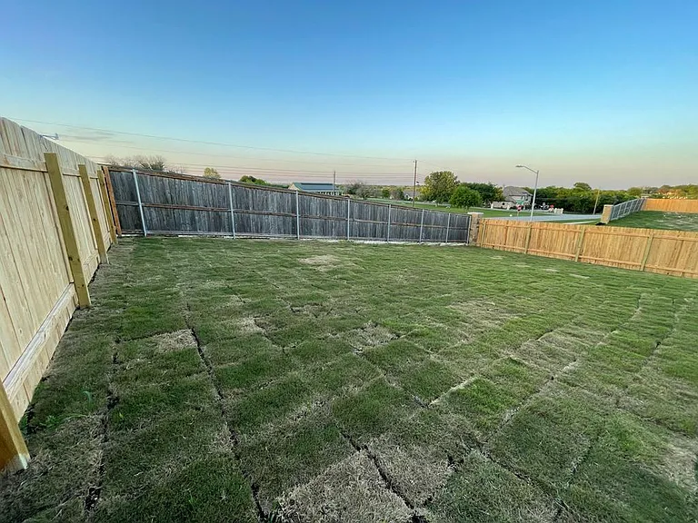 3214 Dusted Daisy St — Photo 18