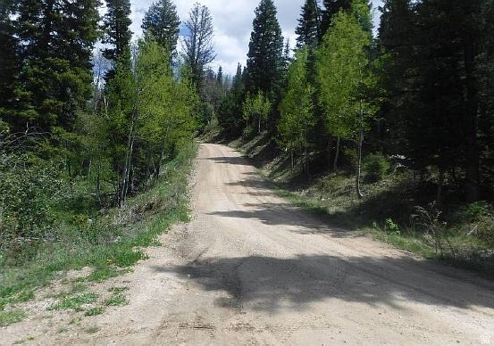 5th image of 2153 S Forest Meadow Rd